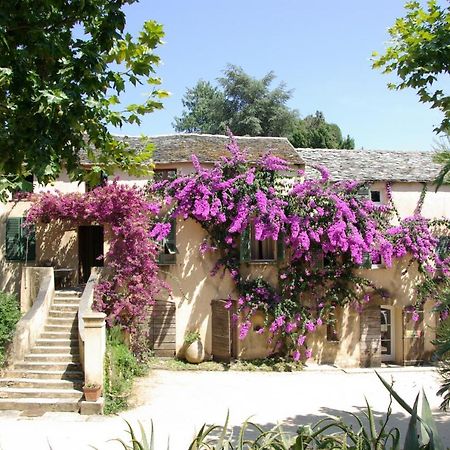 Domaine De Valle Sorbo-Ocagnano Экстерьер фото