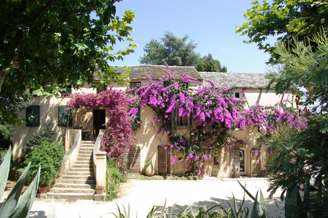 Domaine De Valle Sorbo-Ocagnano Экстерьер фото